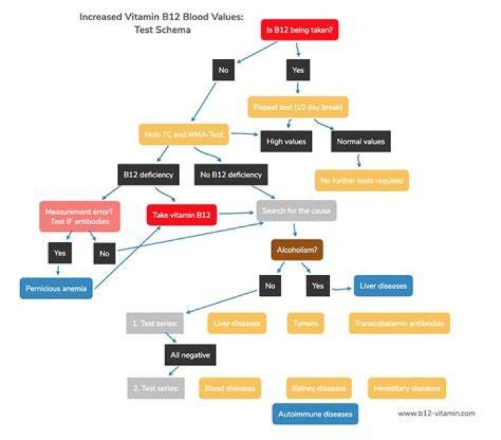 What does high serum vitamin b12 mean