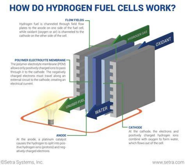What does hydrogen react with in a hydrogen fuel cell