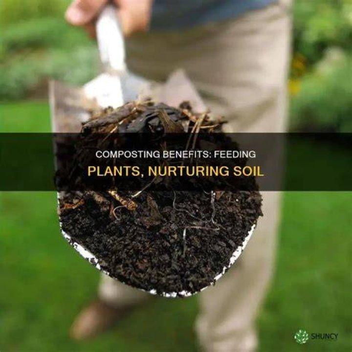 What does it mean to feed plants