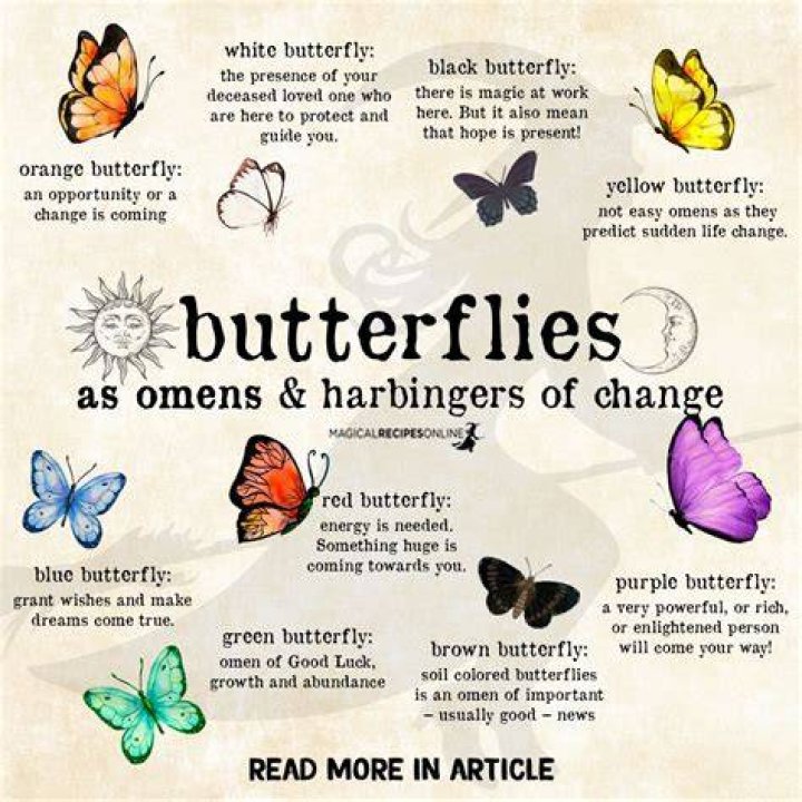 What does Madame Butterfly mean