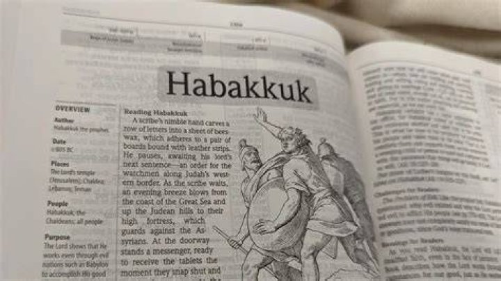 What does name Habakkuk mean