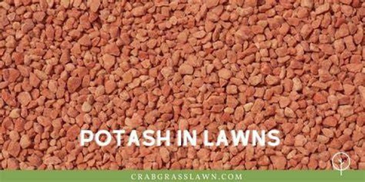 What does Potash do for soil