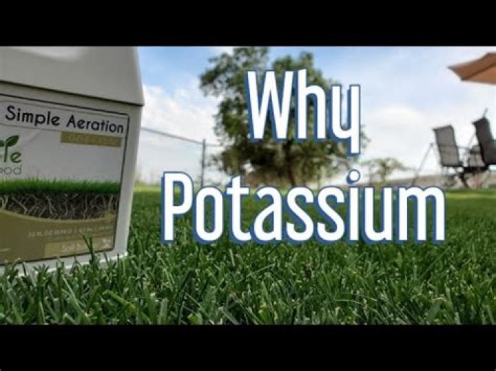 What does potassium do for turf grass