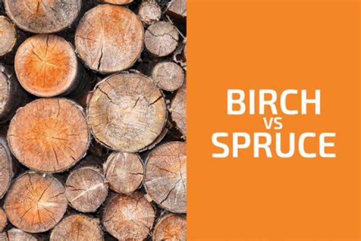 What does spruce up mean