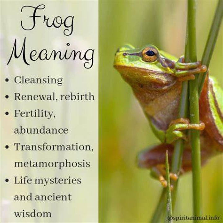 What does the frog symbolize