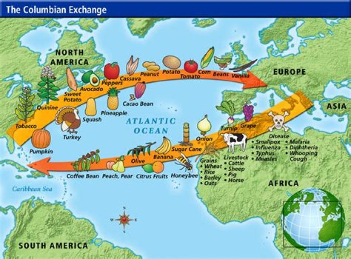What does the term Columbian Exchange refer to quizlet