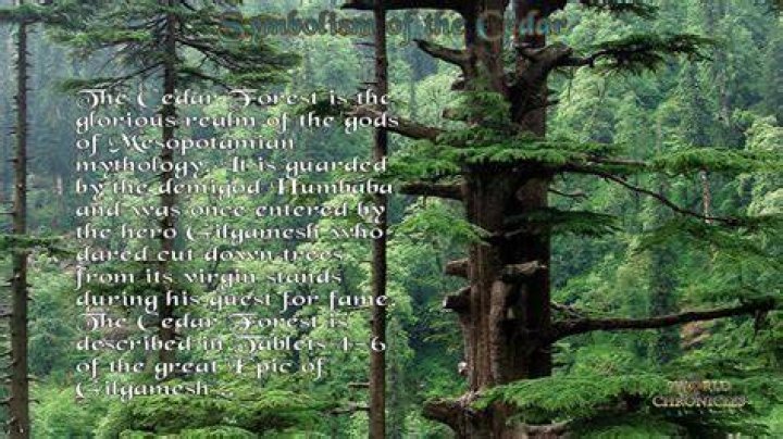 What does Ultima symbolize
