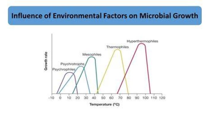 What environmental factors have an influence on microbial growth