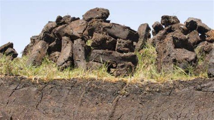 What environmental problem does peat harvesting cause