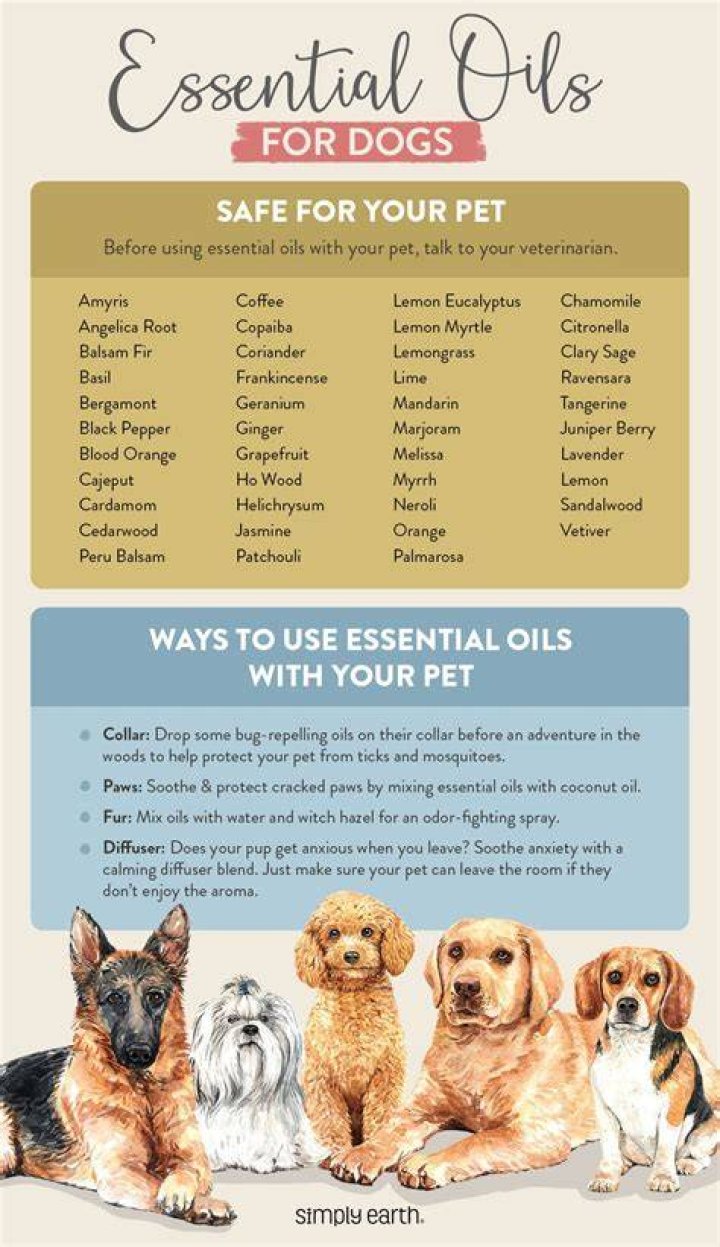 What essential oils are good for dogs