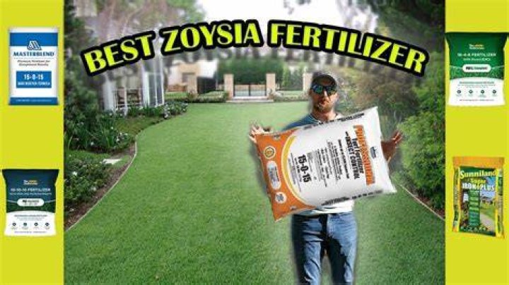 What fertilizer do I use on Zoysia