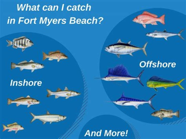 What fish can you catch in Montana
