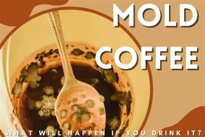What happens if you drink moldy coffee