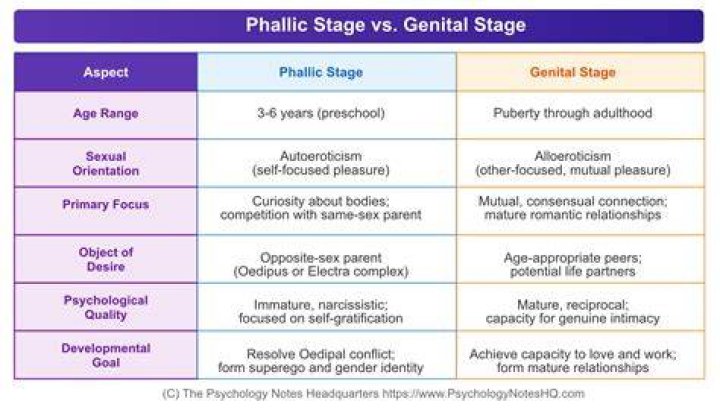 What happens in the phallic stage
