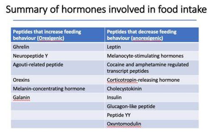 What hormone suppresses the appetite quizlet