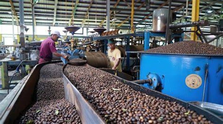 What is a bean factory