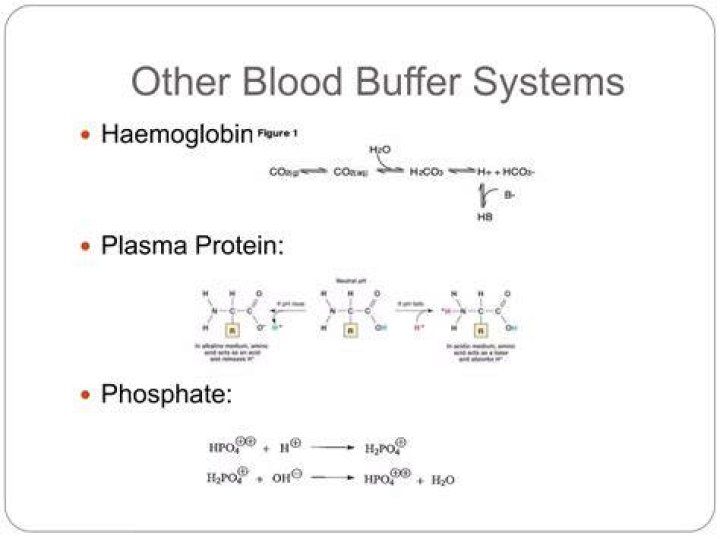 What is a buffer in blood