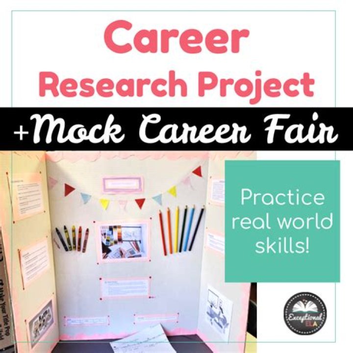 What is a career project