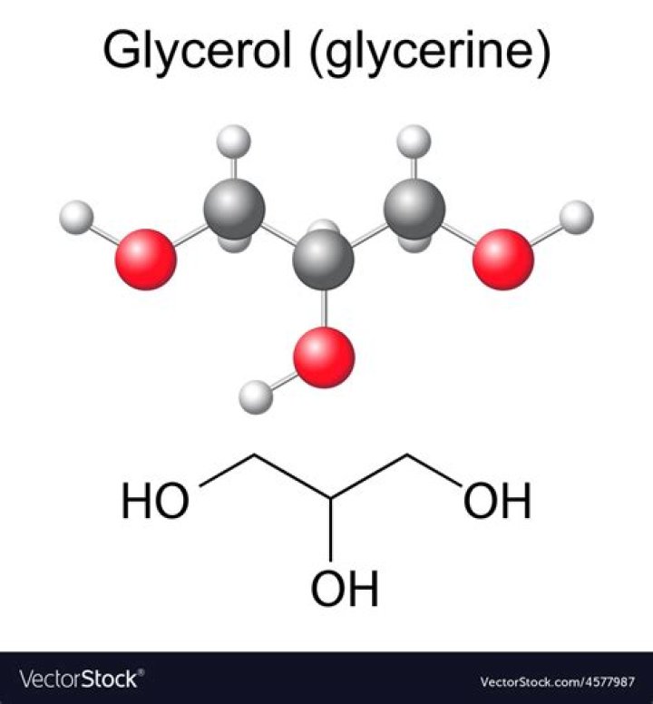 What is a glycerol molecule made of