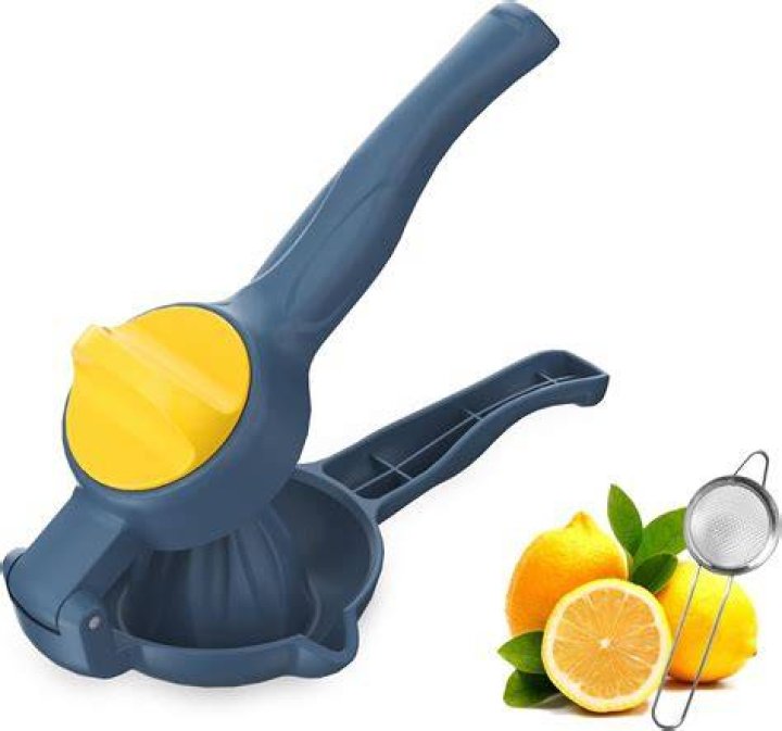What is a lemon juicer called