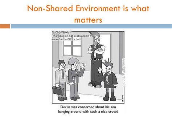 What is a non shared environment