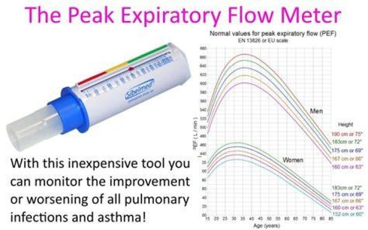 What is a normal reading on a peak flow meter