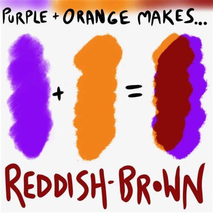 What is a Purple Orange called