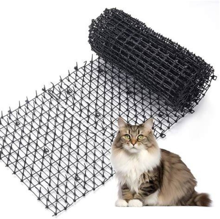 What is a scat mat for cats