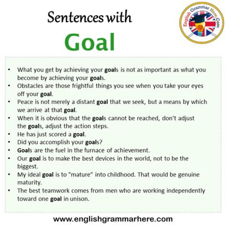 What is a sentence for goal