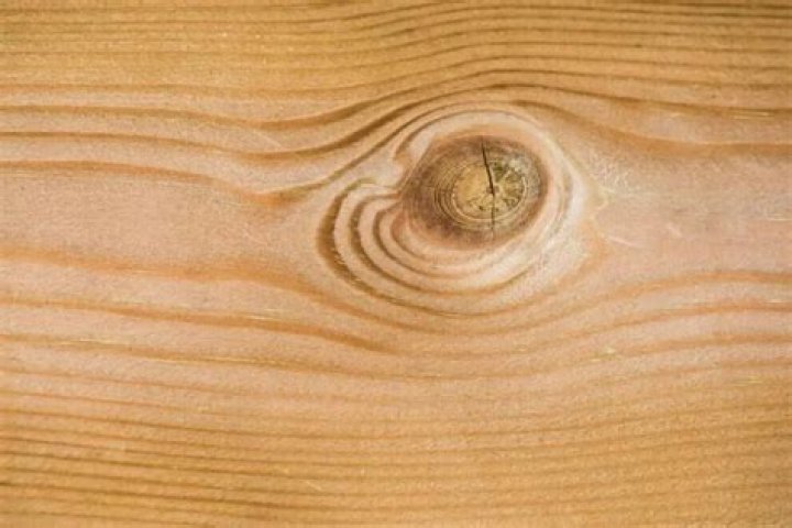 What is a wood knot