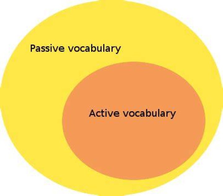 What is active vocabulary and passive vocabulary