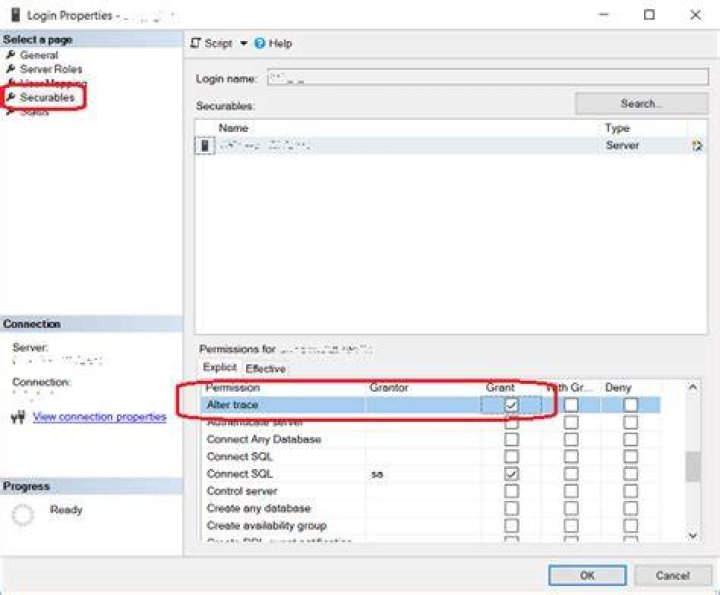 What is Alter Trace permission