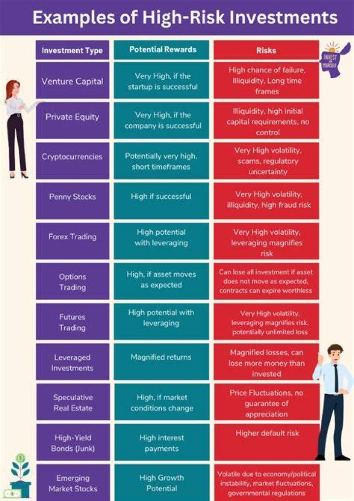 What is an example of a high risk investment