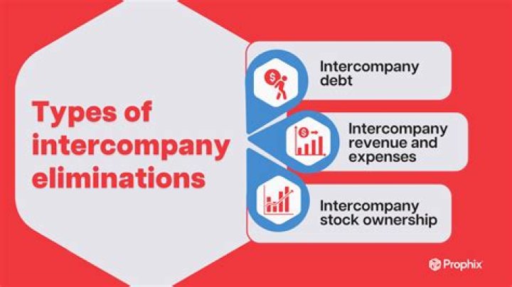 What is an intercompany elimination