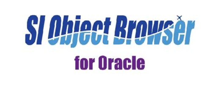 What is an object in Oracle