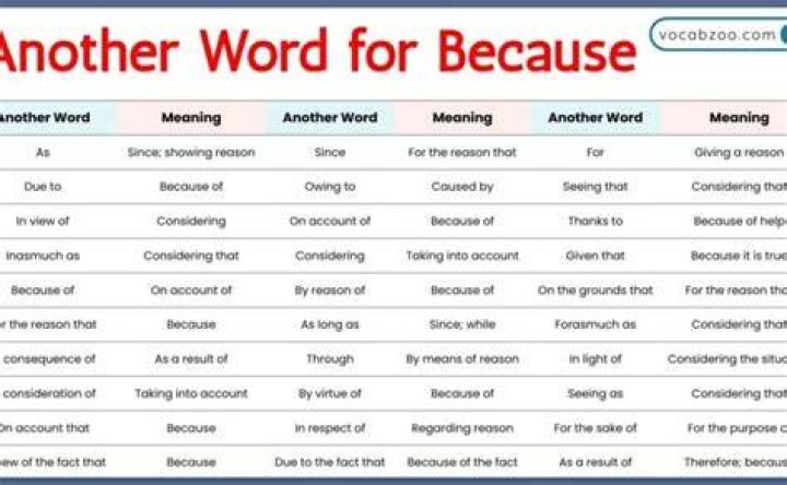 What is another word for aorta