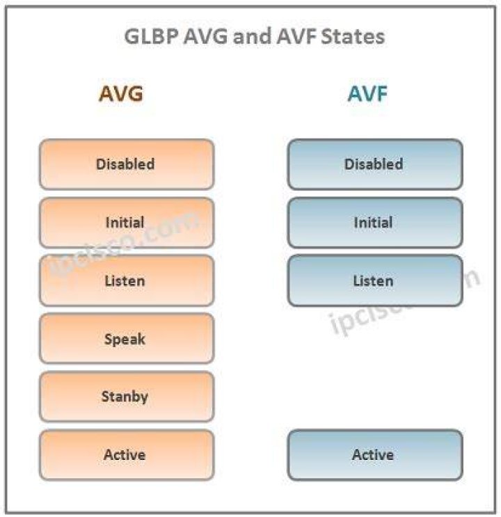 What is AVG and AVF in Glbp