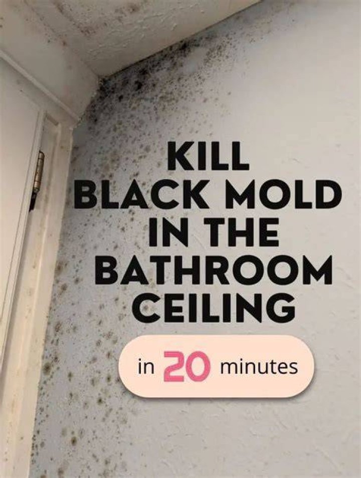 What is best for killing black mold