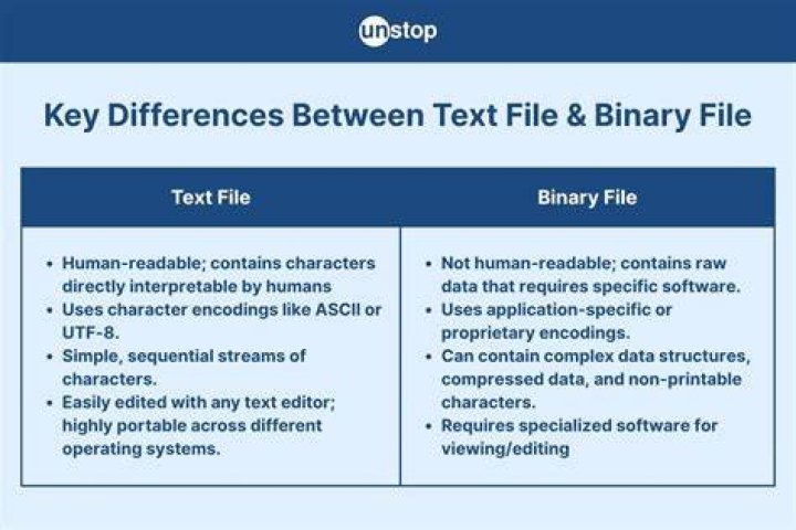 What is binary file and text file