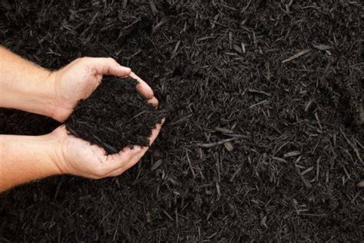 What is black mulch used for