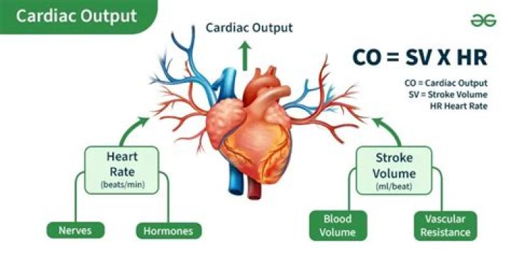What is cardiac output PE