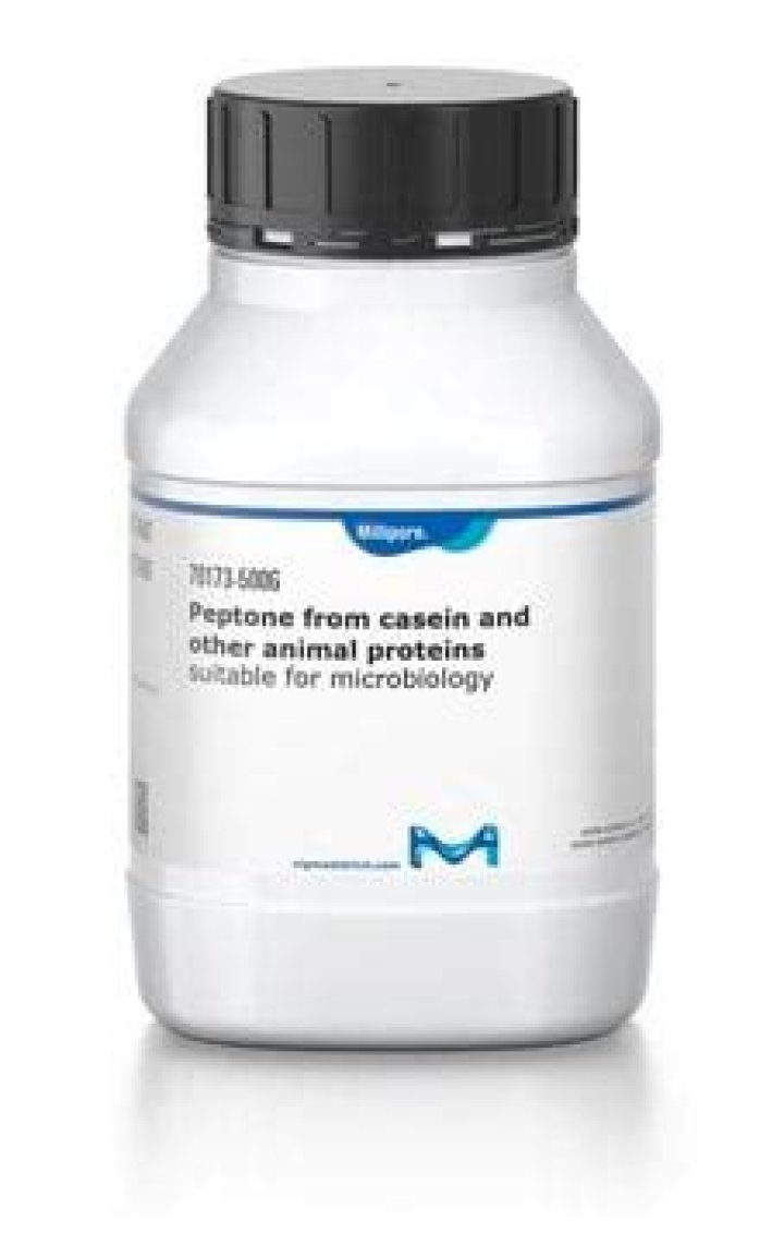 What is casein in microbiology