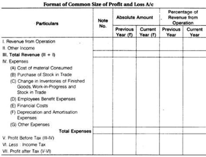 What is common size profit and loss account