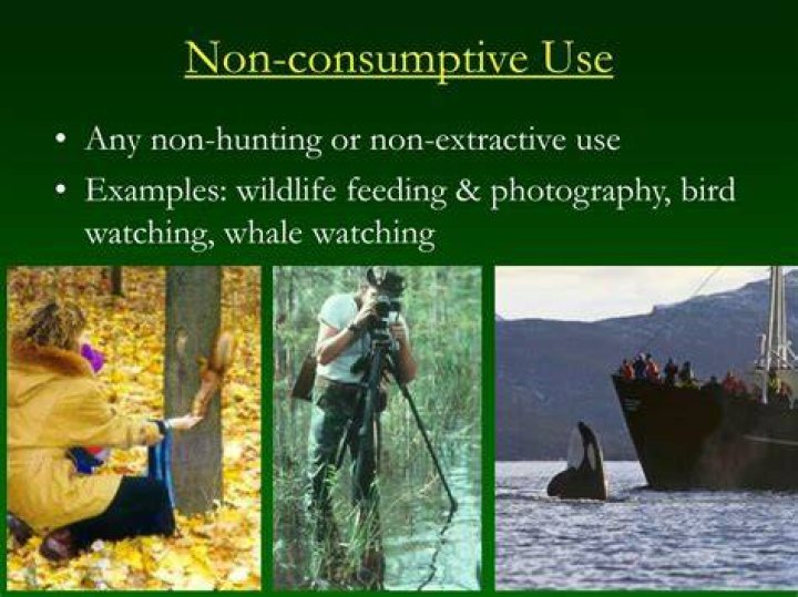 What is consumptive and non consumptive