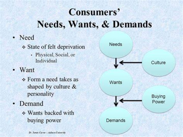 What is difference between needs/wants and demands