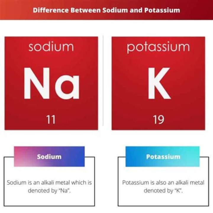 What is difference between sodium and potassium