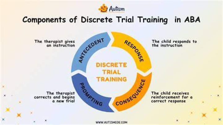 What is DTT in ABA therapy