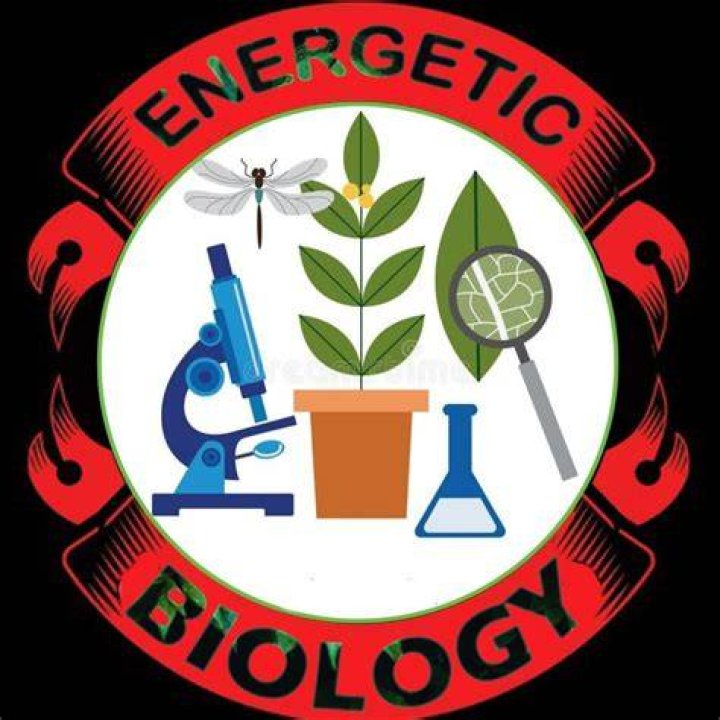 What is energetic biology