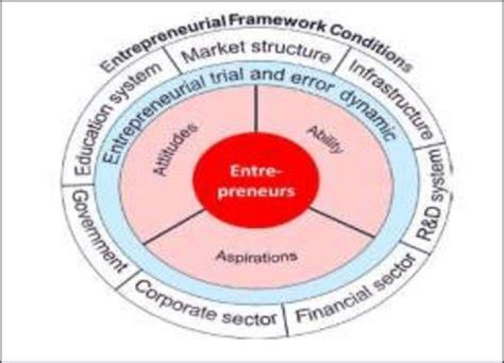 What is entrepreneurial frame