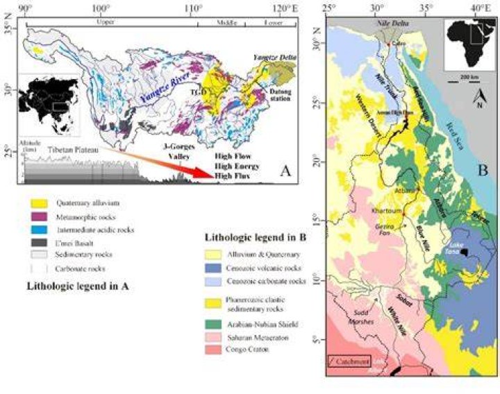 What is estuary degradation